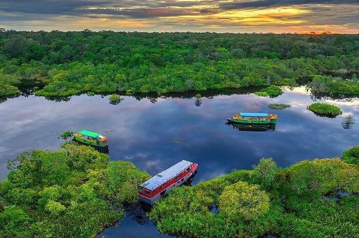 Tanjung Puting Surga Alam