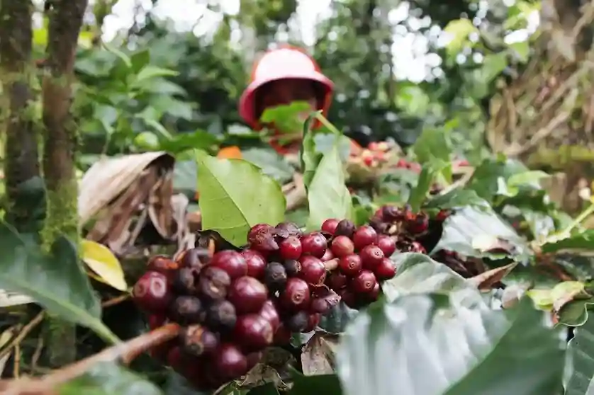 Wisata Terbaru di Bali