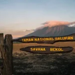 Taman Nasional Baluran Wisata Alam Terkenal Jawa Timur 2025