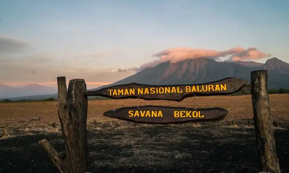 Taman Nasional Baluran Wisata Alam Terkenal Jawa Timur 2025