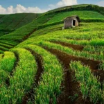 Wisata di Majalengka, Pesona Kota Angin yang Punya Sawah Berundak hingga Telaga Jernih