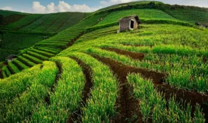 Wisata di Majalengka, Pesona Kota Angin yang Punya Sawah Berundak hingga Telaga Jernih_11zon Wisata di Majalengka, Pesona Kota Angin yang Punya Sawah Berundak hingga Telaga Jernih