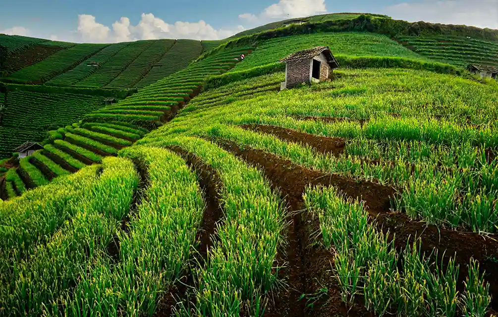Wisata di Majalengka, Pesona Kota Angin yang Punya Sawah Berundak hingga Telaga Jernih
